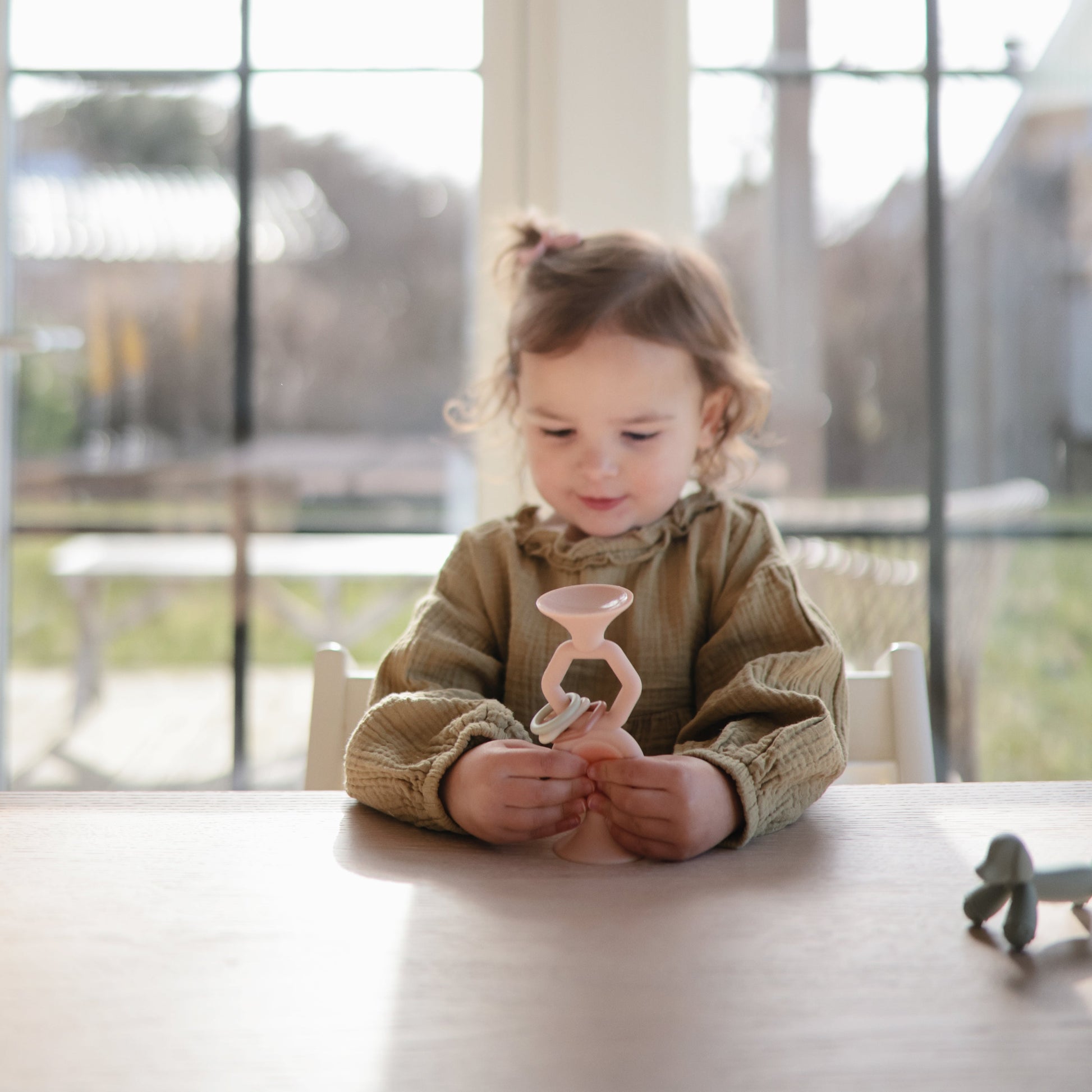 HexaPop Suction Toy - Chickadees Wooden Toys