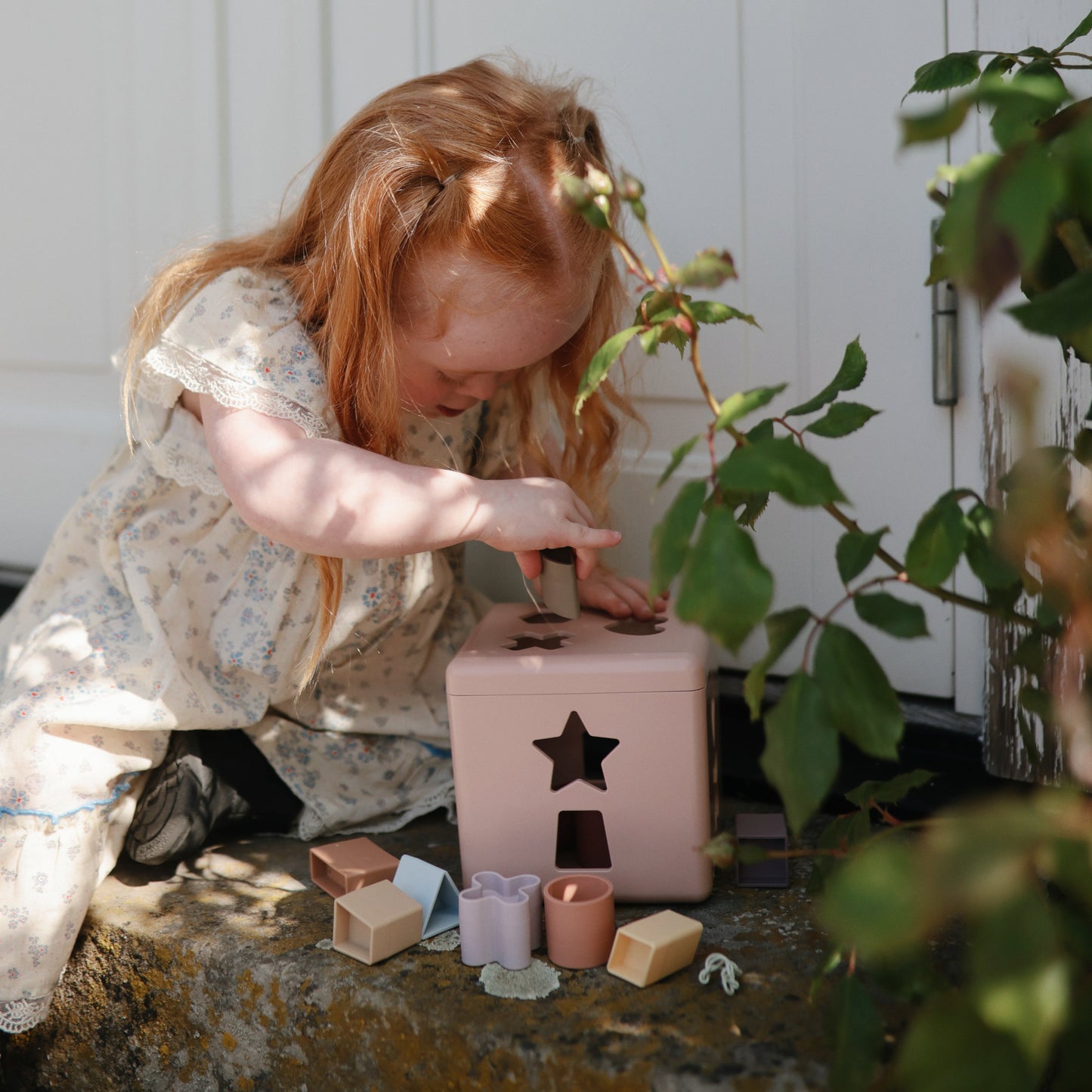 Shape Sorting Box - Chickadees Wooden Toys