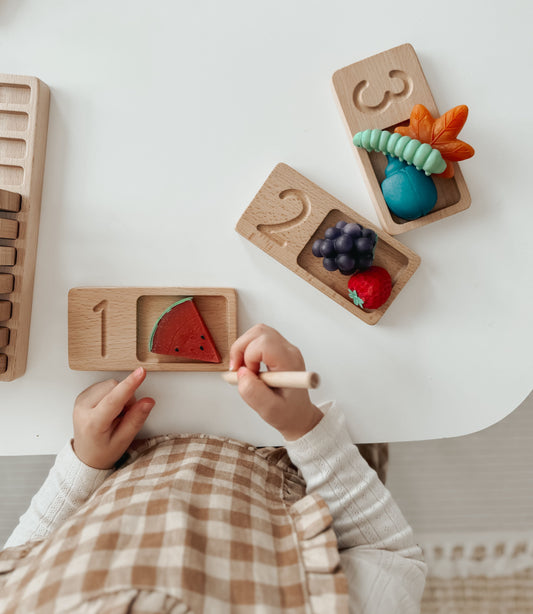 Lindquist Lane Numbers 0 to 10 Number Sense Counting Boards Set in Tray