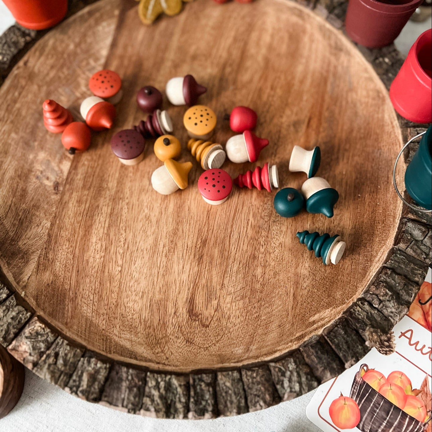 Autumn Loose Parts Sorting