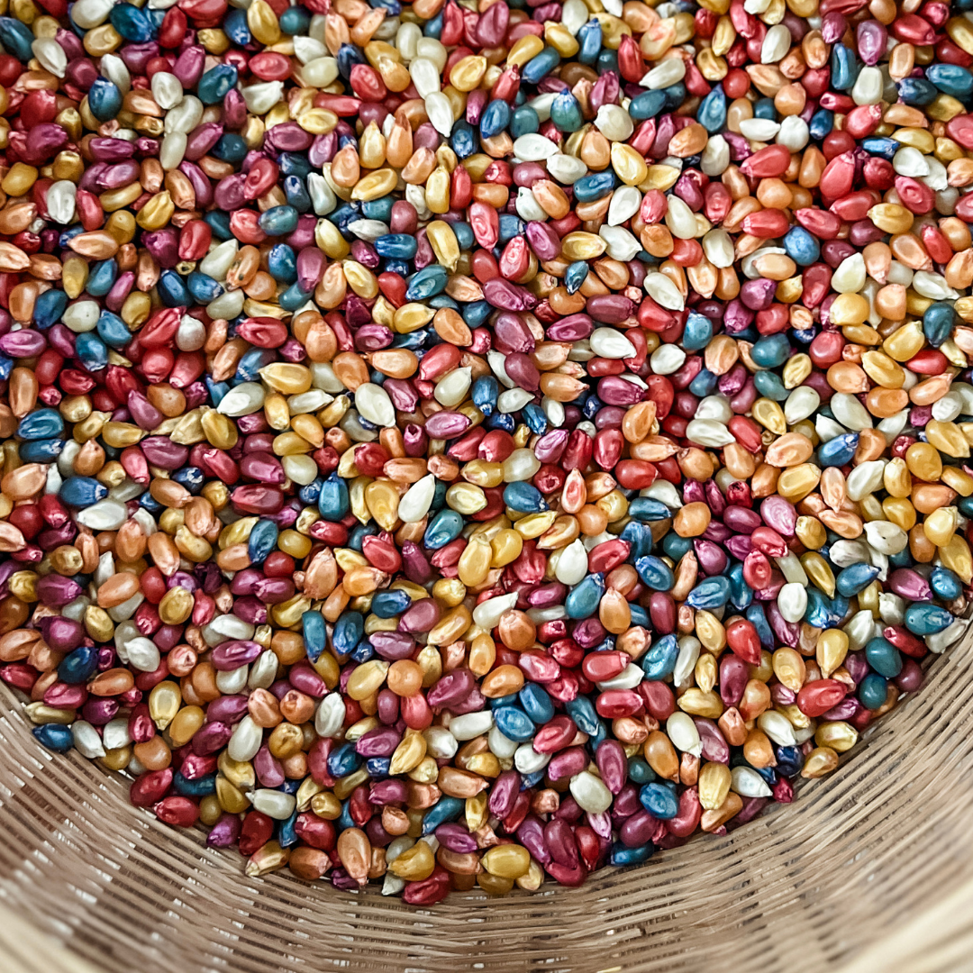 Autumnal Play Corn Bucket