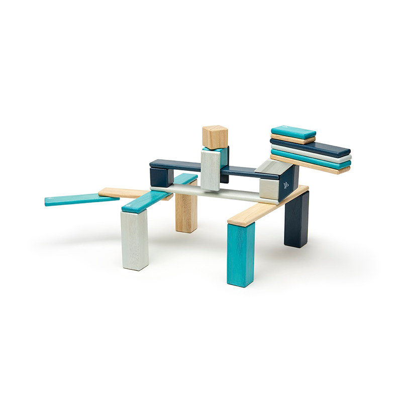 24-Piece Set <br>Magnetic Wooden Blocks <br>Tegu Classics - Chickadees Wooden Toys
