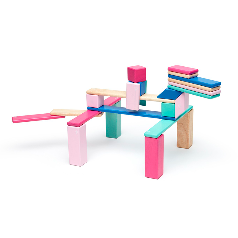 24-Piece Set <br>Magnetic Wooden Blocks <br>Tegu Classics - Chickadees Wooden Toys