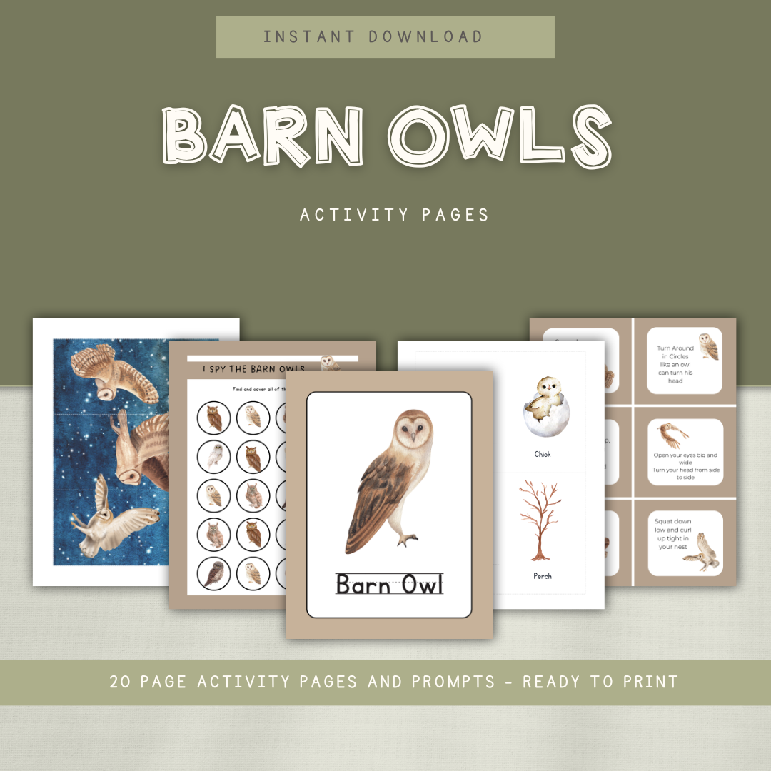 Barn Owls - Preschool Activity Pages - Chickadees Wooden Toys