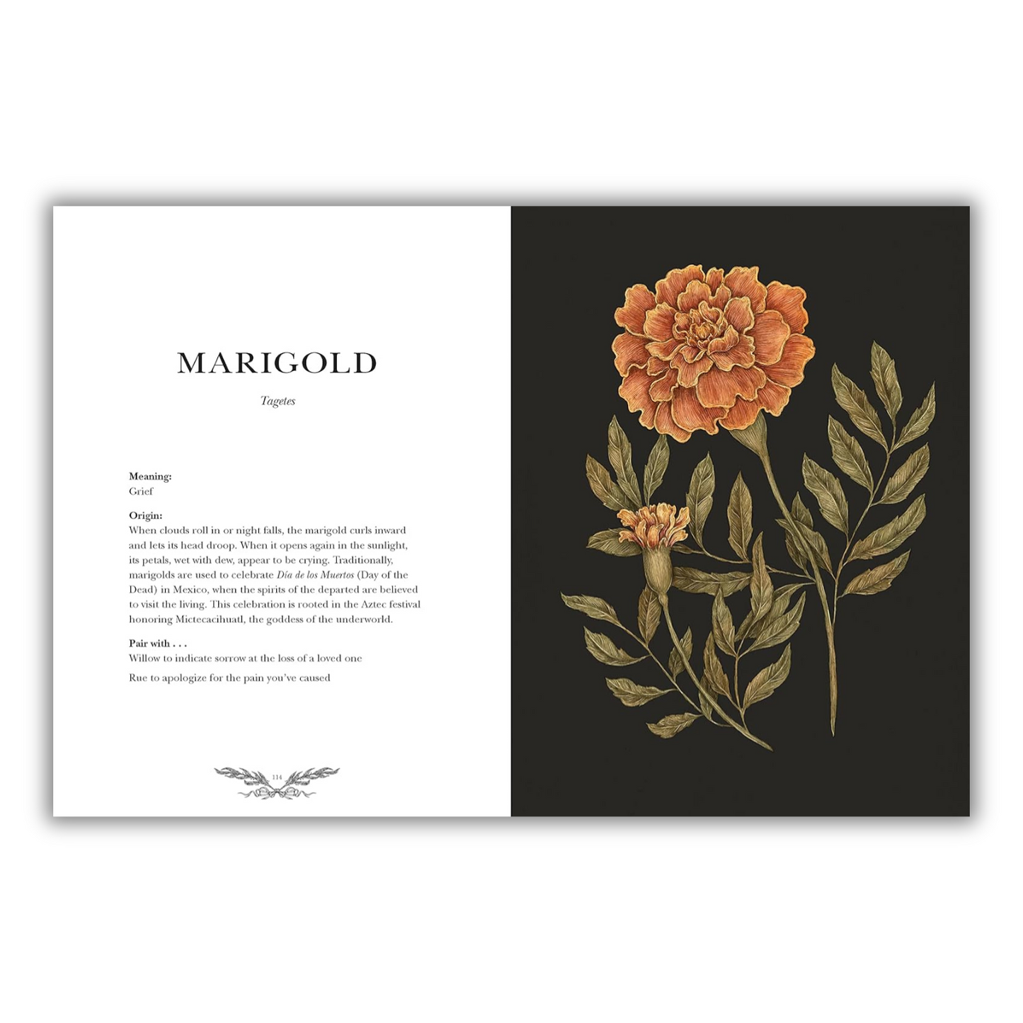 Floriography: An Illustrated Guide to the Victorian Language of Flowers (Spiral Bound) - Chickadees Wooden Toys