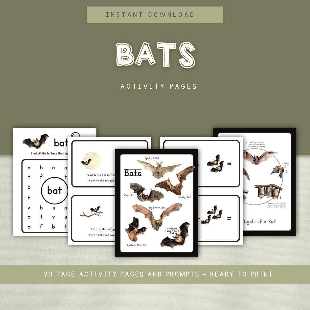 Bats - Preschool Activity Pages - Chickadees Wooden Toys