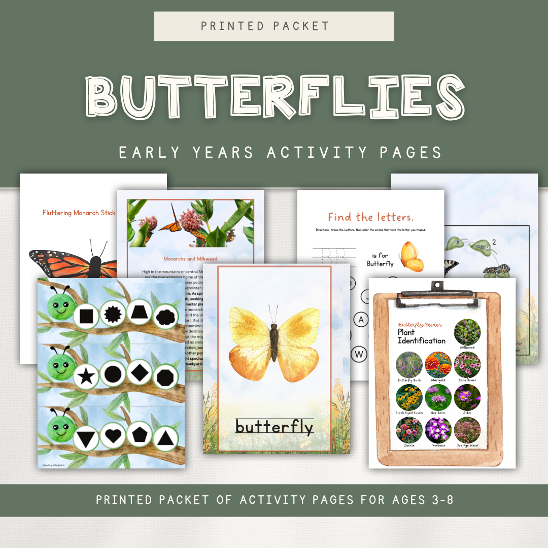 Butterfly Themed Activity Pages - Digital Download - Chickadees Wooden Toys