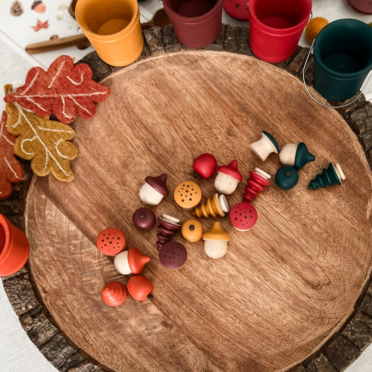 Autumn Loose Parts Sorting