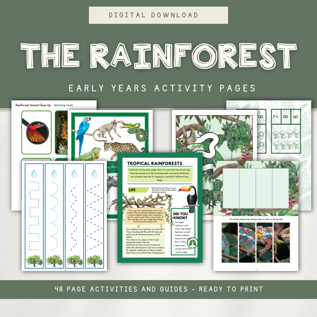 Tropical Rainforest Themed Activity Pages - Digital Download - Chickadees Wooden Toys