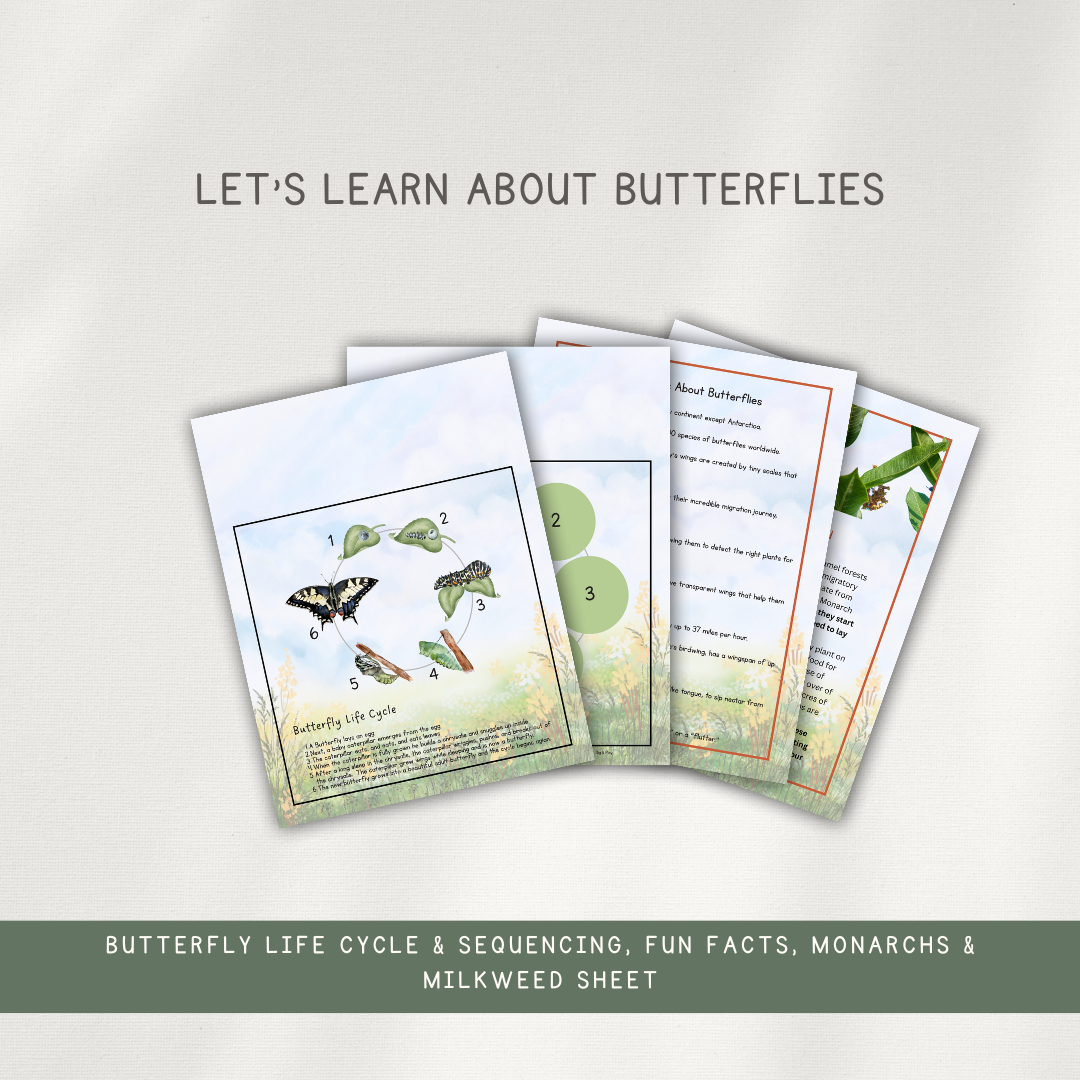 Butterfly Activity Pages - Printed Packet - Chickadees Wooden Toys