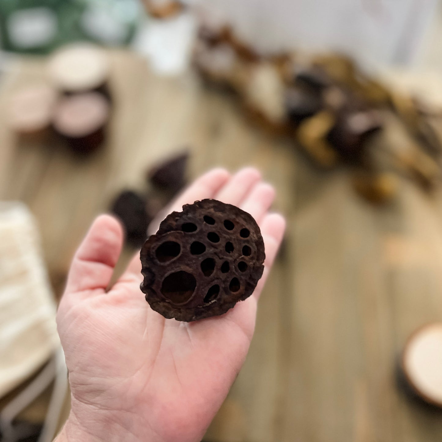 Natural Dried Lotus Pods