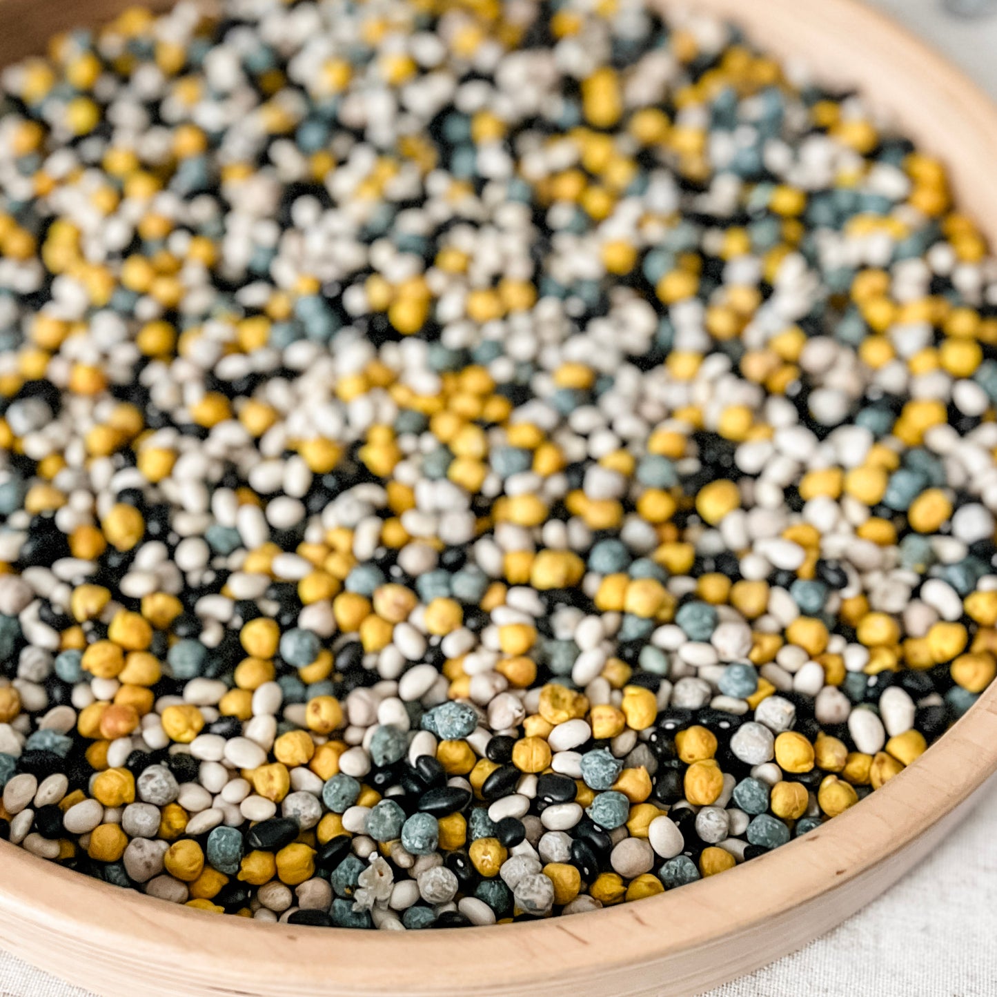 Full Moon Sensory Bin Filler - Chickadees Wooden Toys