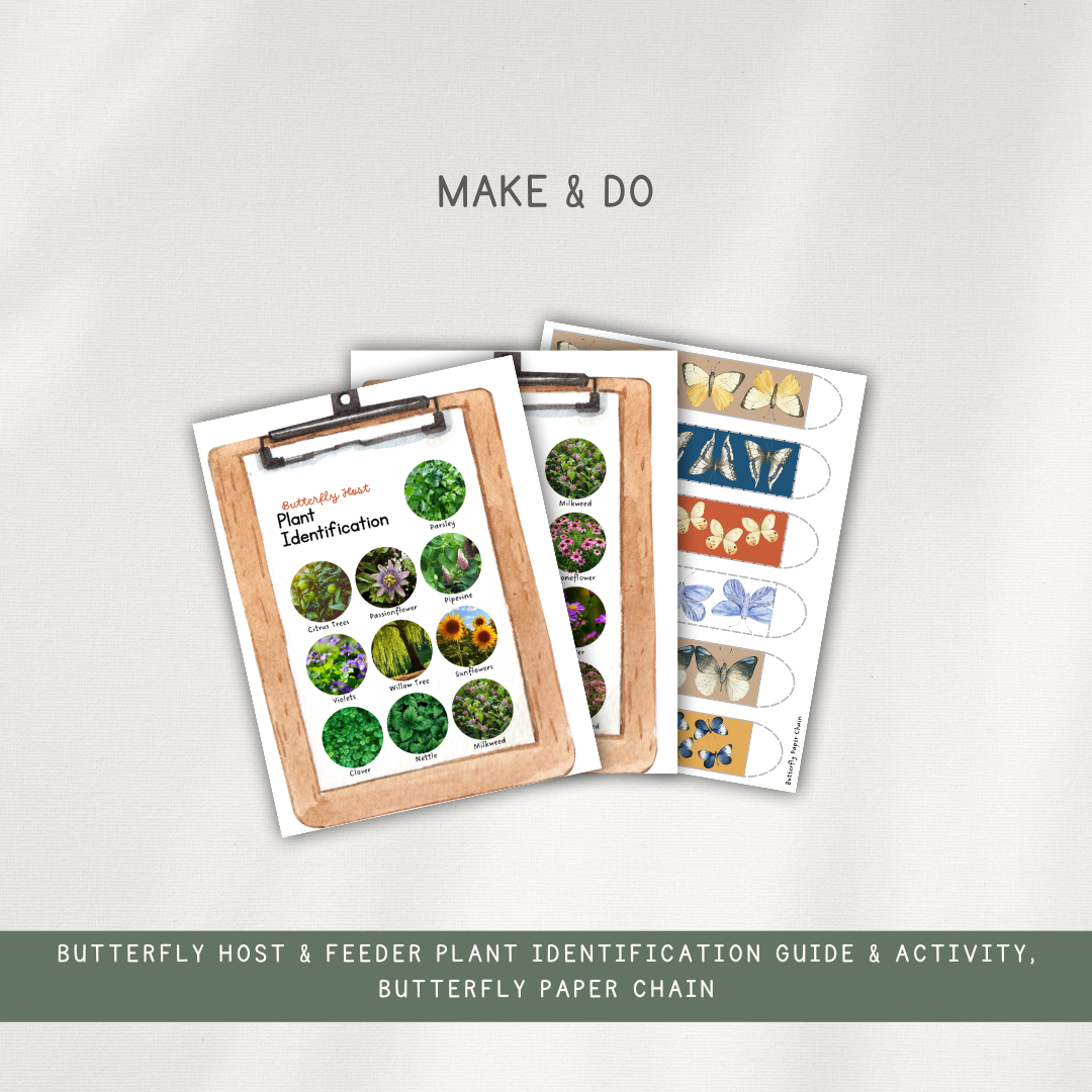 Butterfly Activity Pages - Printed Packet - Chickadees Wooden Toys