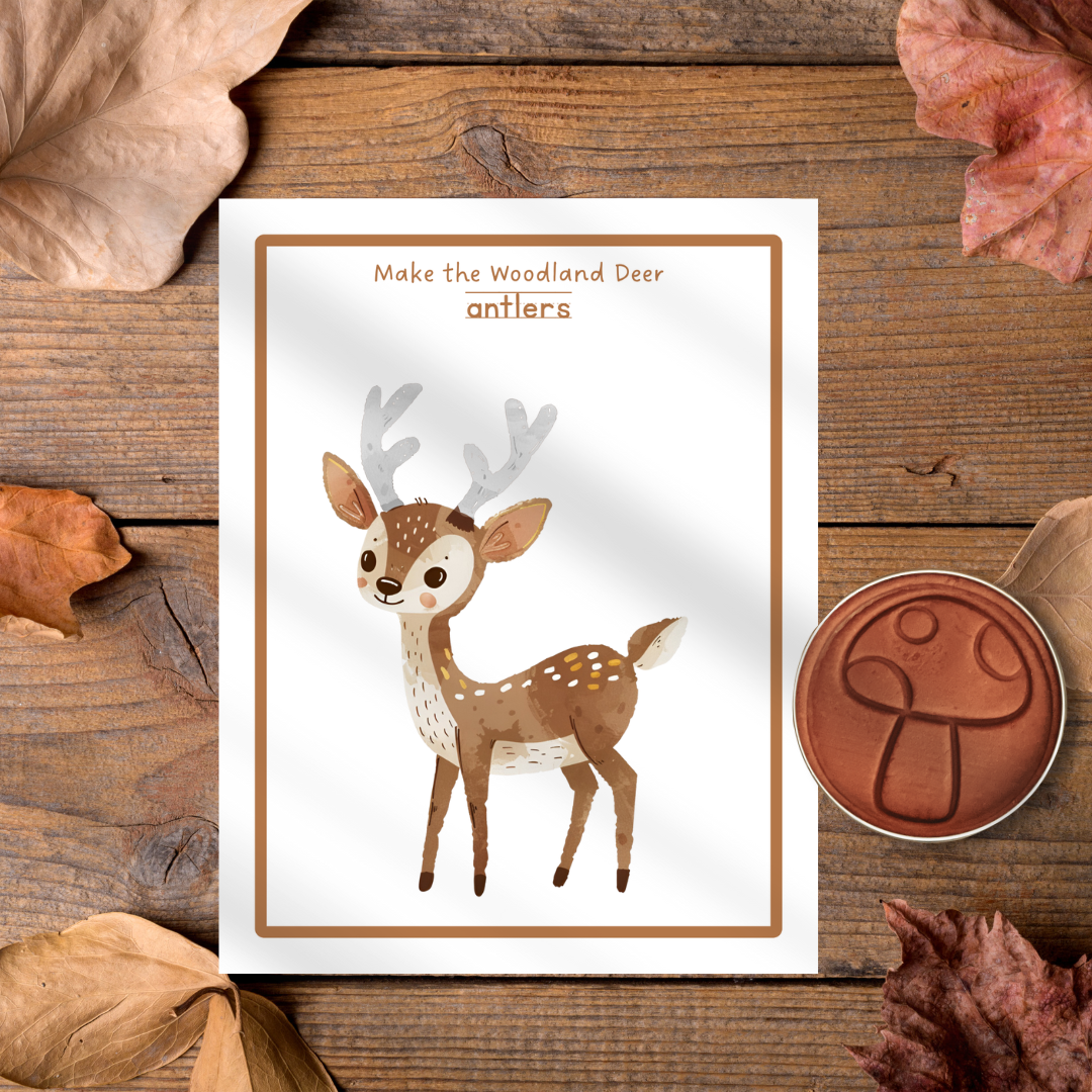 5 Double-sided Woodland Animal Play Dough Mats - Physical Product