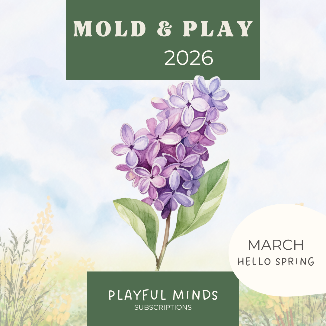 Mold and Play - Early Learning Subscription Box 2026 - Chickadees Wooden Toys