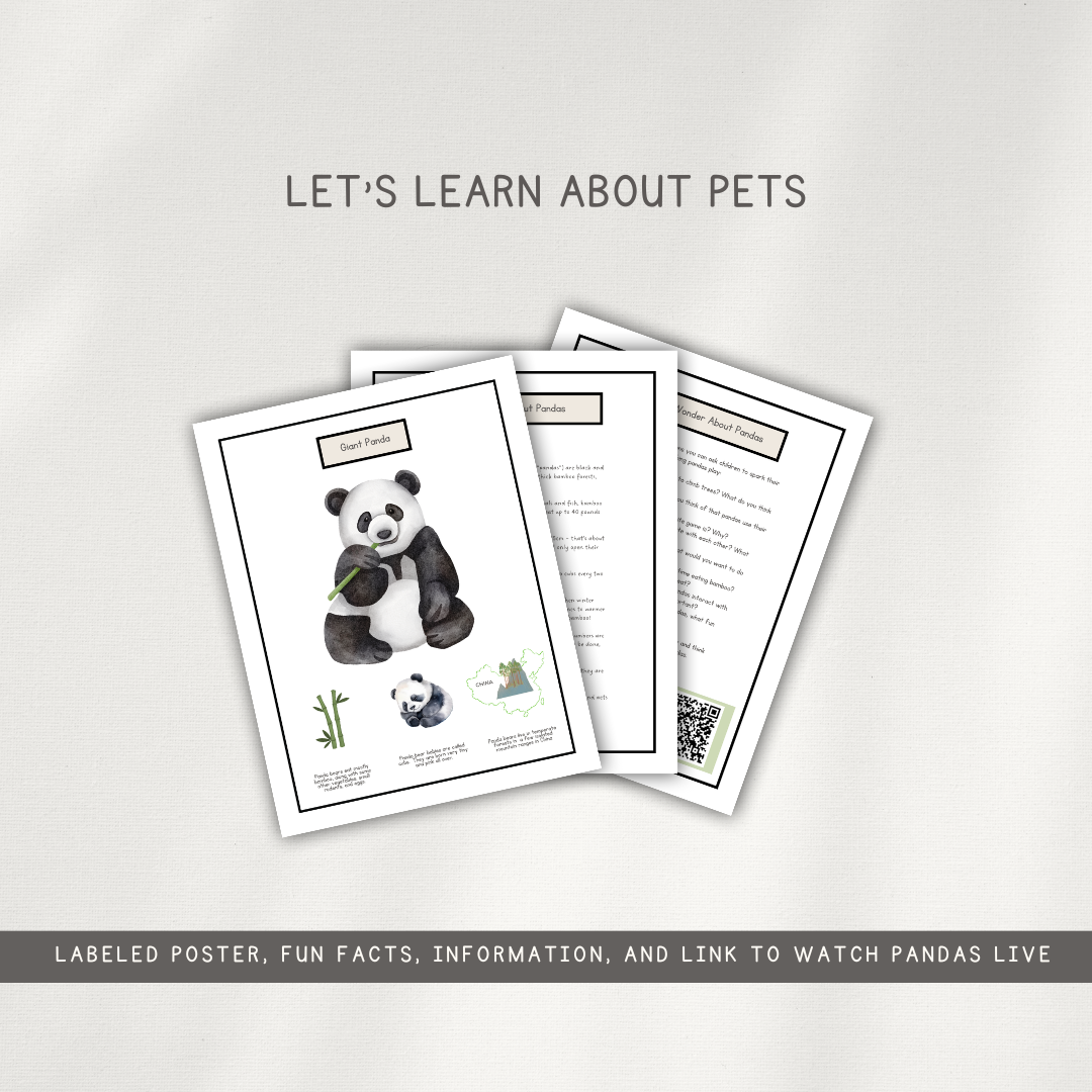 Panda Activity Pages - Printed Packet - Chickadees Wooden Toys
