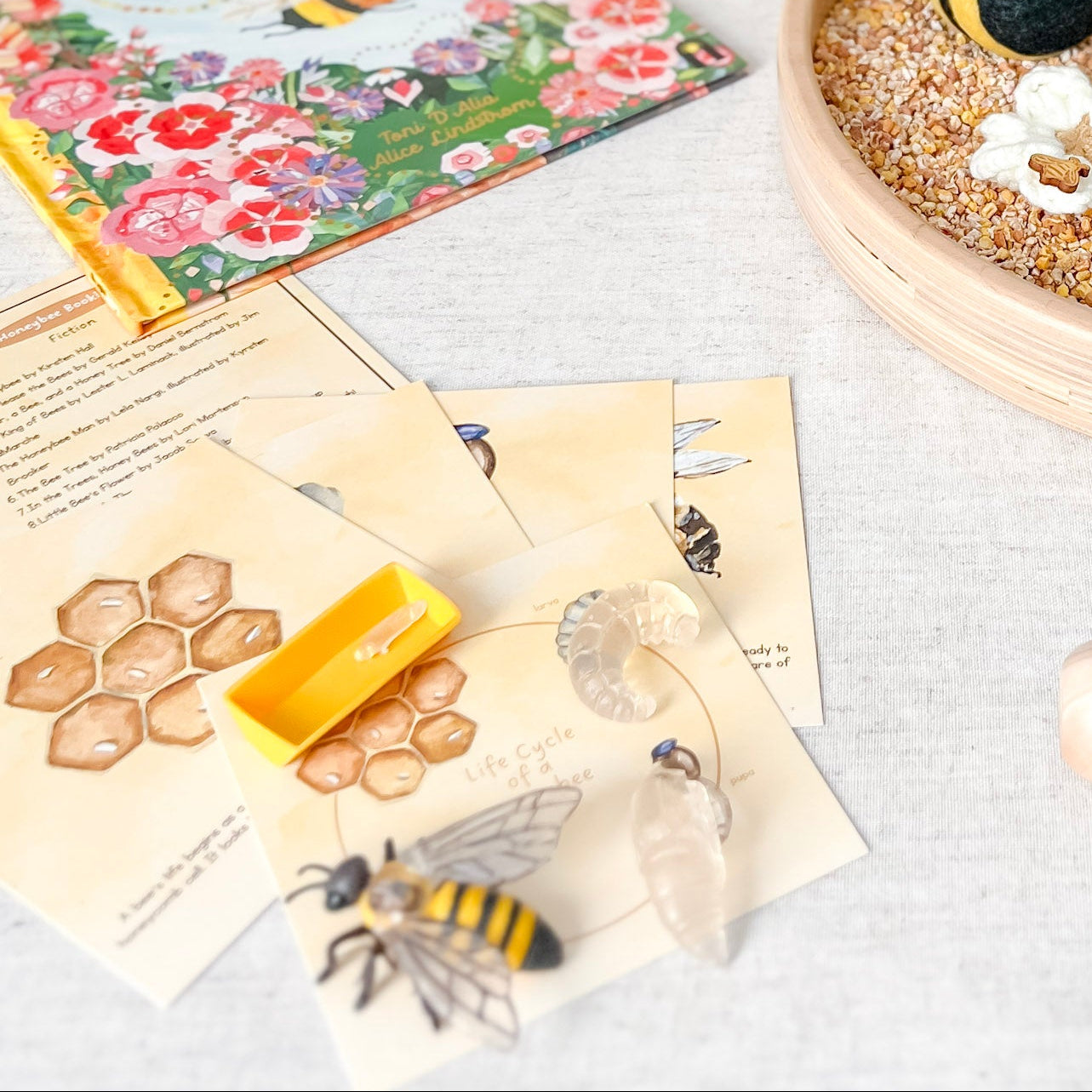 Honeybee Life Cycle - Cards and Figures - Chickadees Wooden Toys