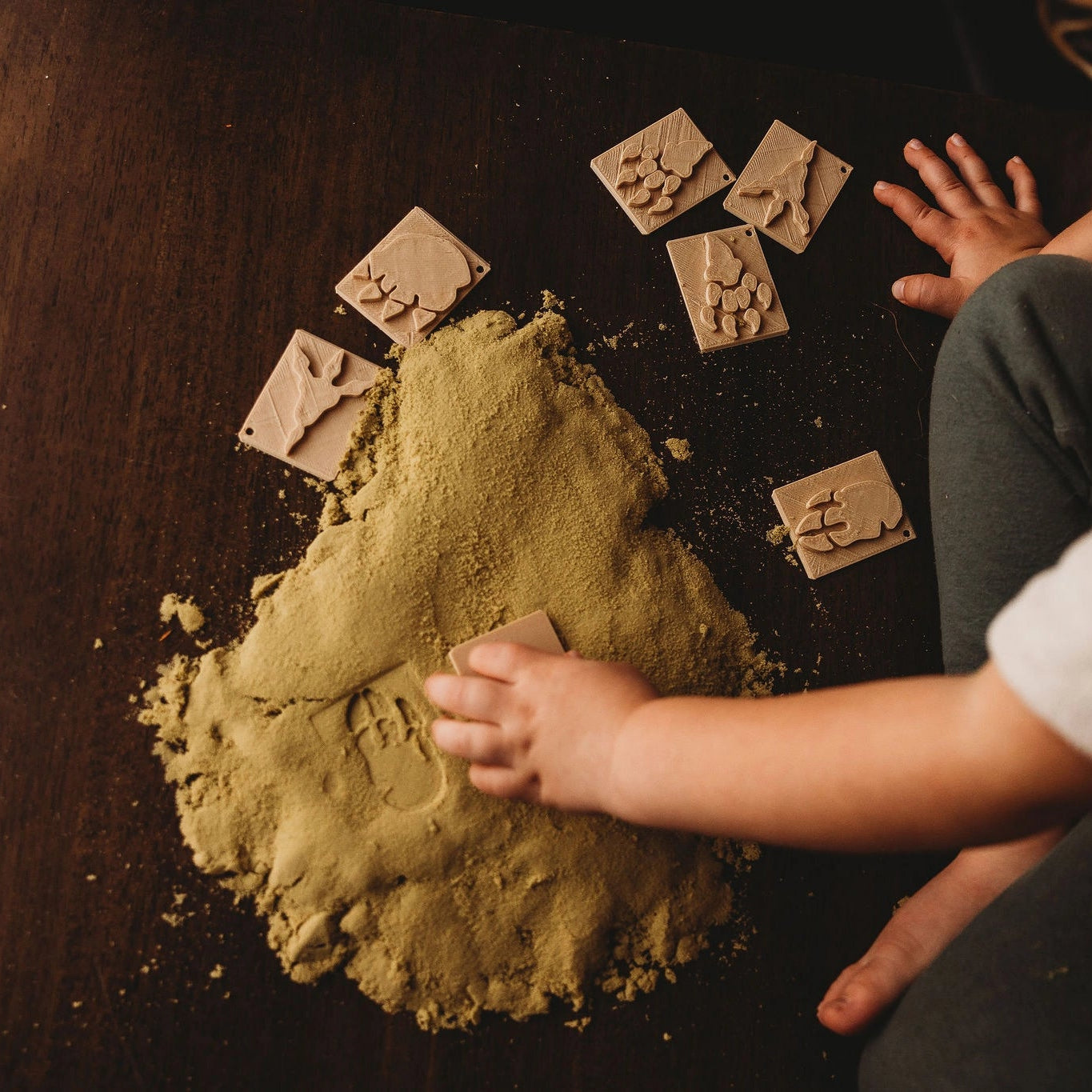 Dinosaur Footprints - Eco Stamp Set