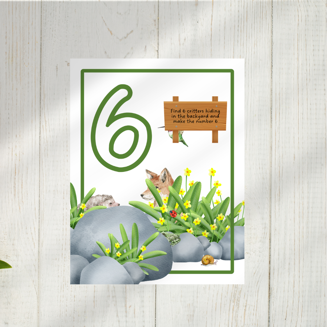 5 Double-sided BACKYARD Themed Play Dough Mats - Physical Product - Chickadees Wooden Toys