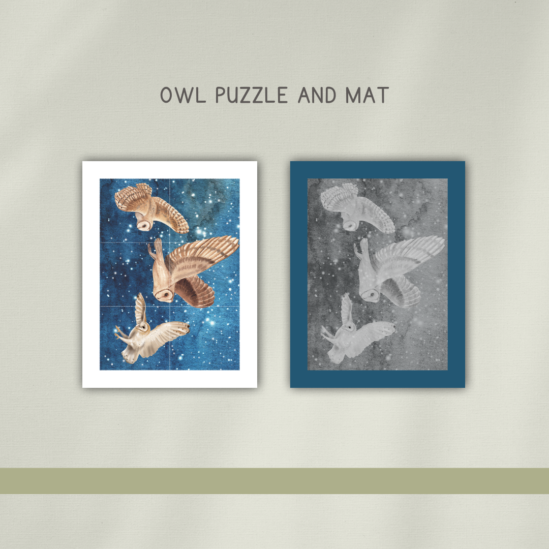 Barn Owls - Preschool Activity Pages - Chickadees Wooden Toys