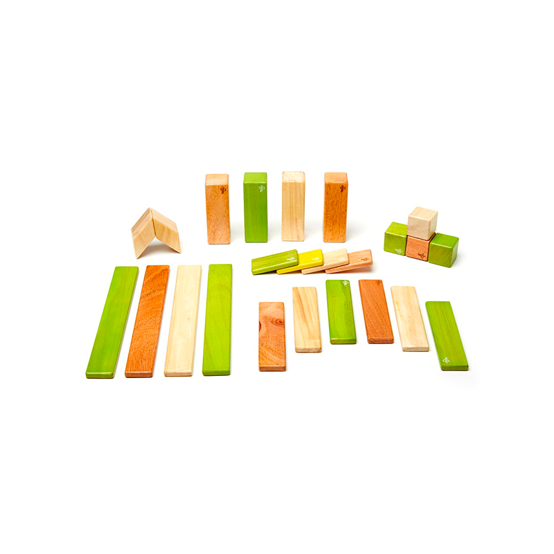 24-Piece Set <br>Magnetic Wooden Blocks <br>Tegu Classics - Chickadees Wooden Toys