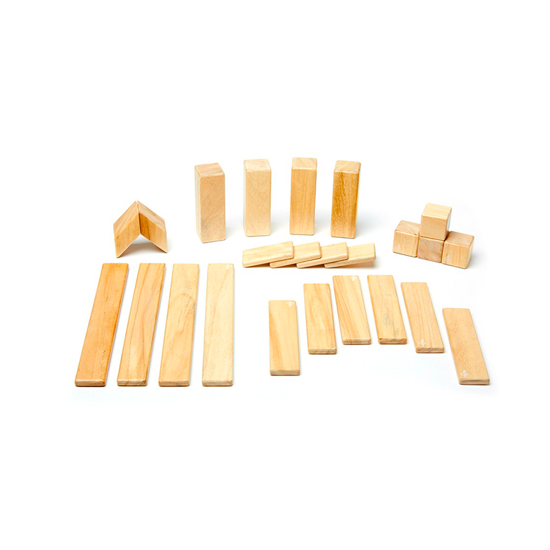 24-Piece Set <br>Magnetic Wooden Blocks <br>Tegu Classics - Chickadees Wooden Toys