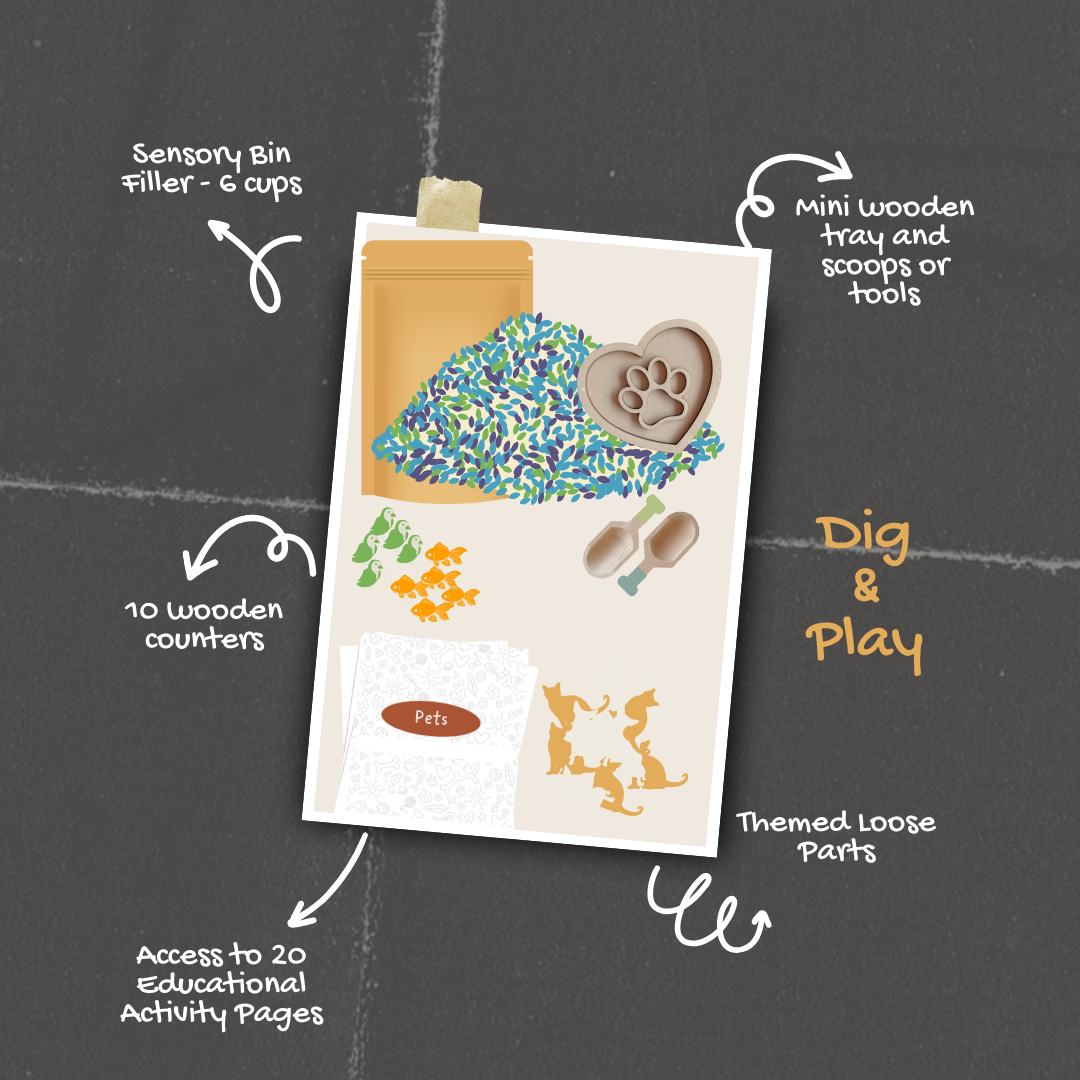 Dig and Play - Early Learning Subscription Box - Chickadees Wooden Toys