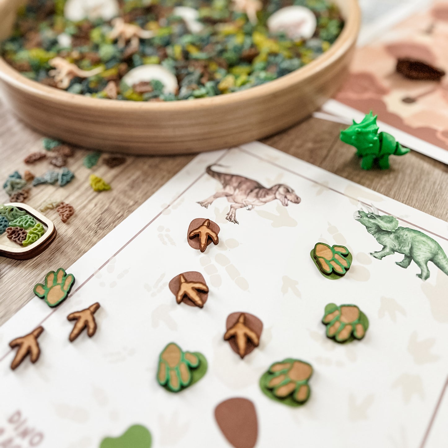 Dinosaur Dig & Play