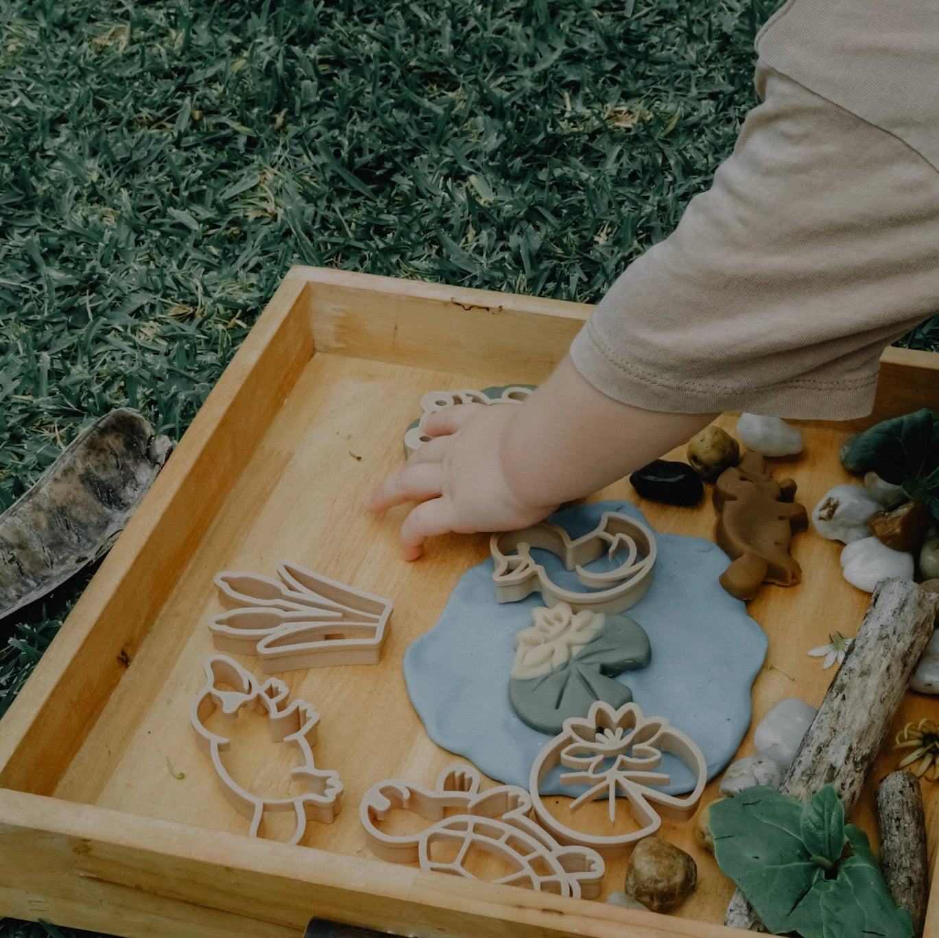 Pond Life Eco Cutters