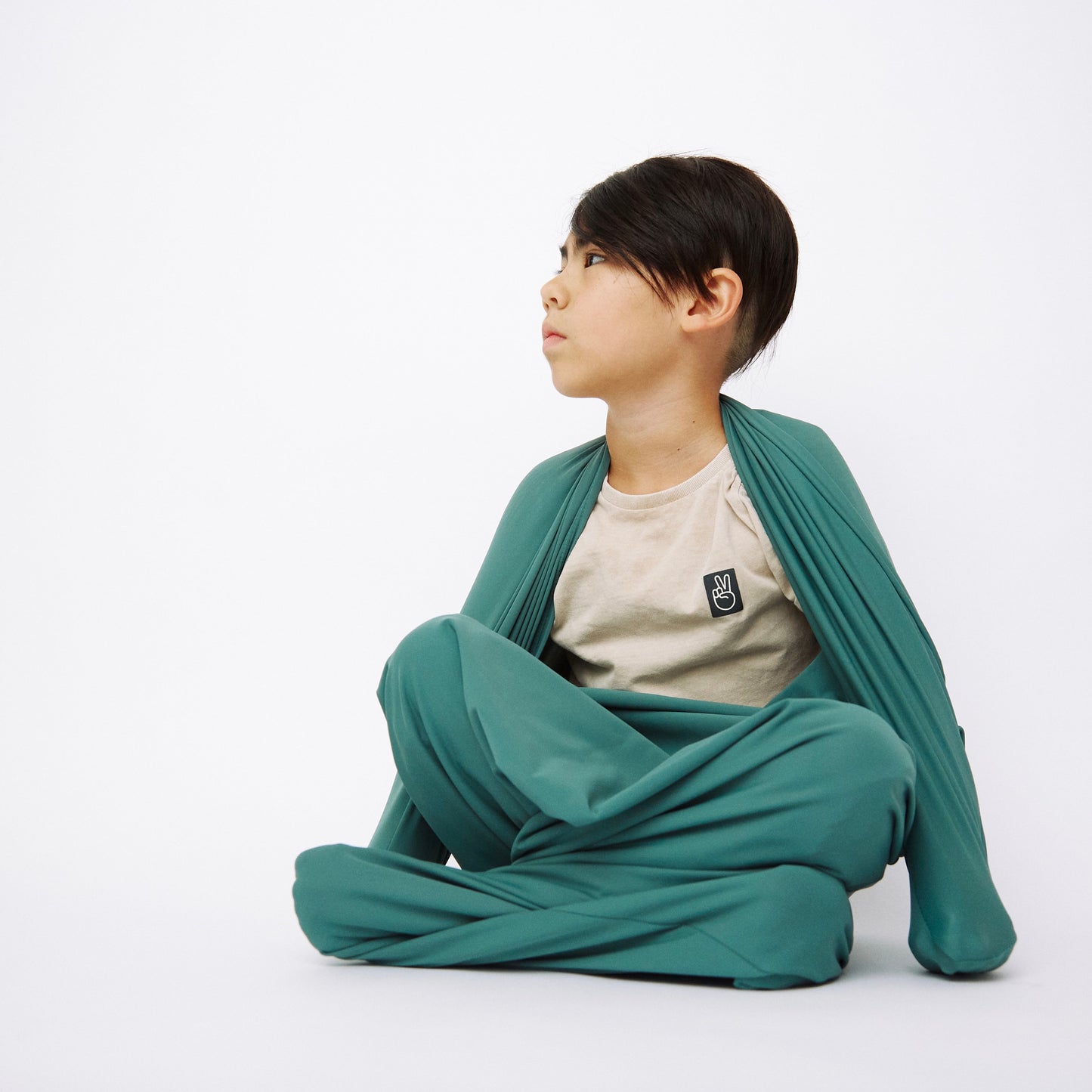 The HOYO Pod (BALTIC) - Chickadees Wooden Toys