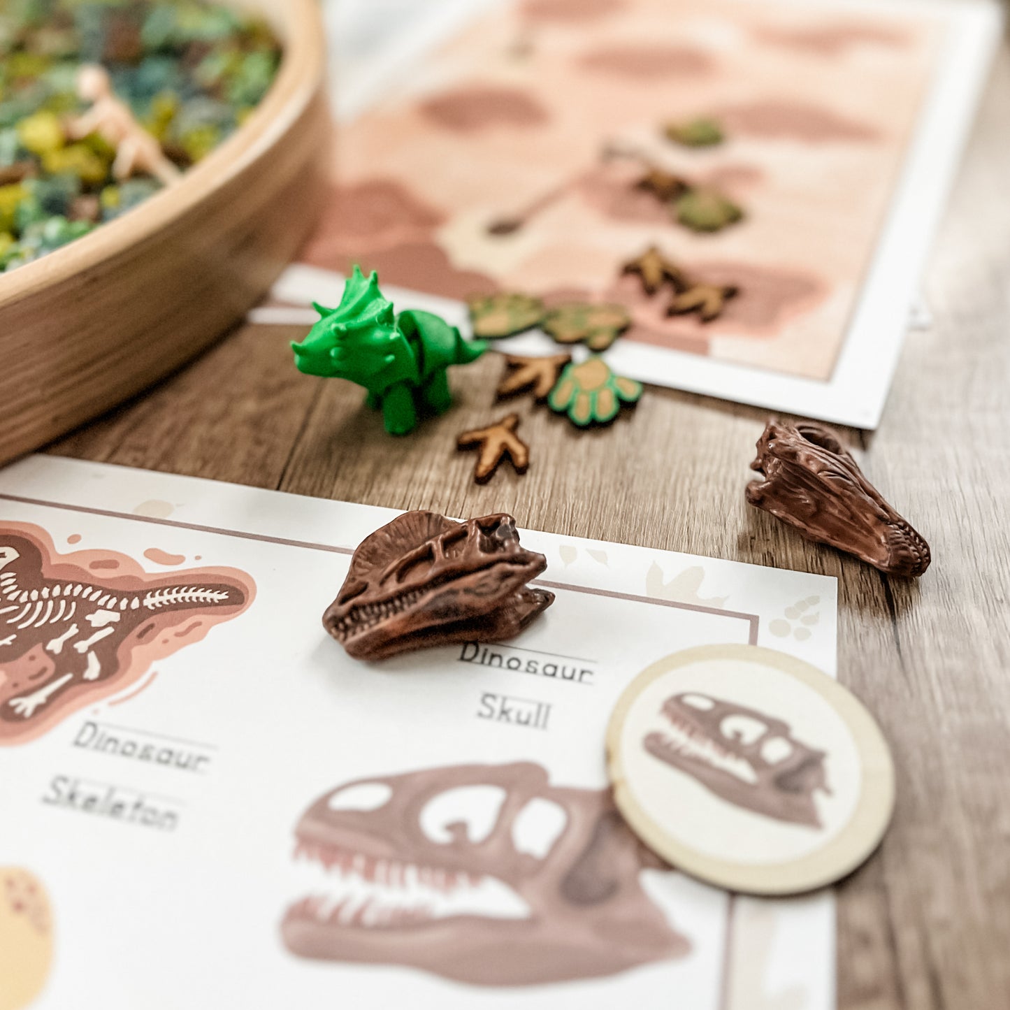 Dinosaur Dig & Play