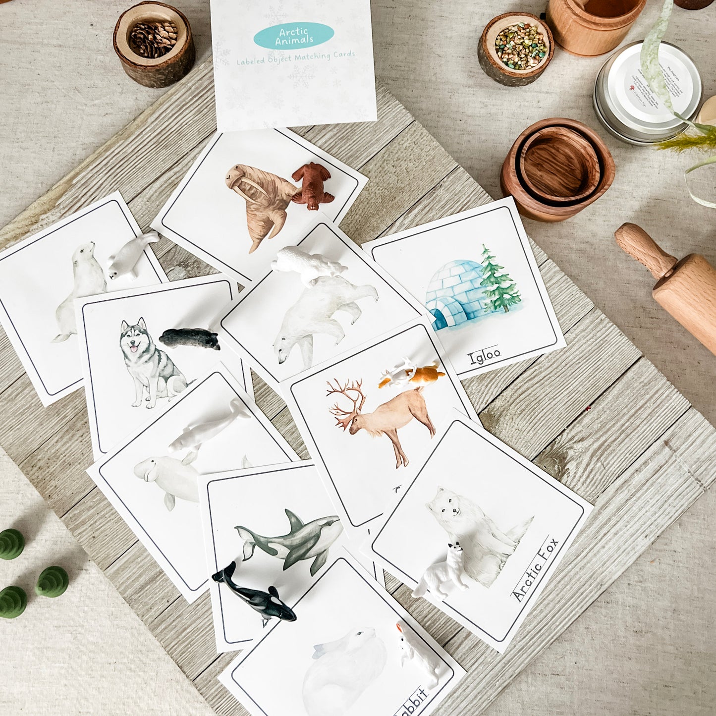 Arctic Animal Matching - Cards and Figures - Chickadees Wooden Toys