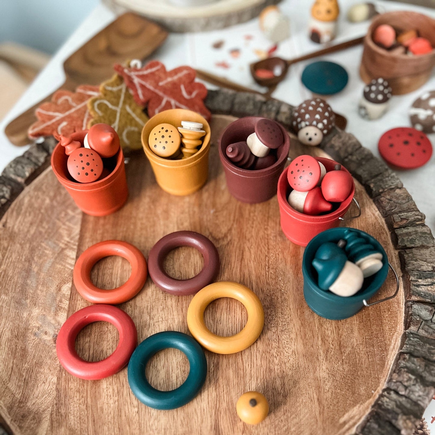 Autumn Loose Parts Sorting