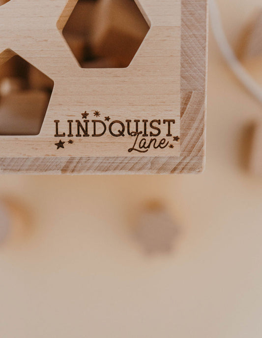 Solid Wood Intelligence Shape Sorting Box