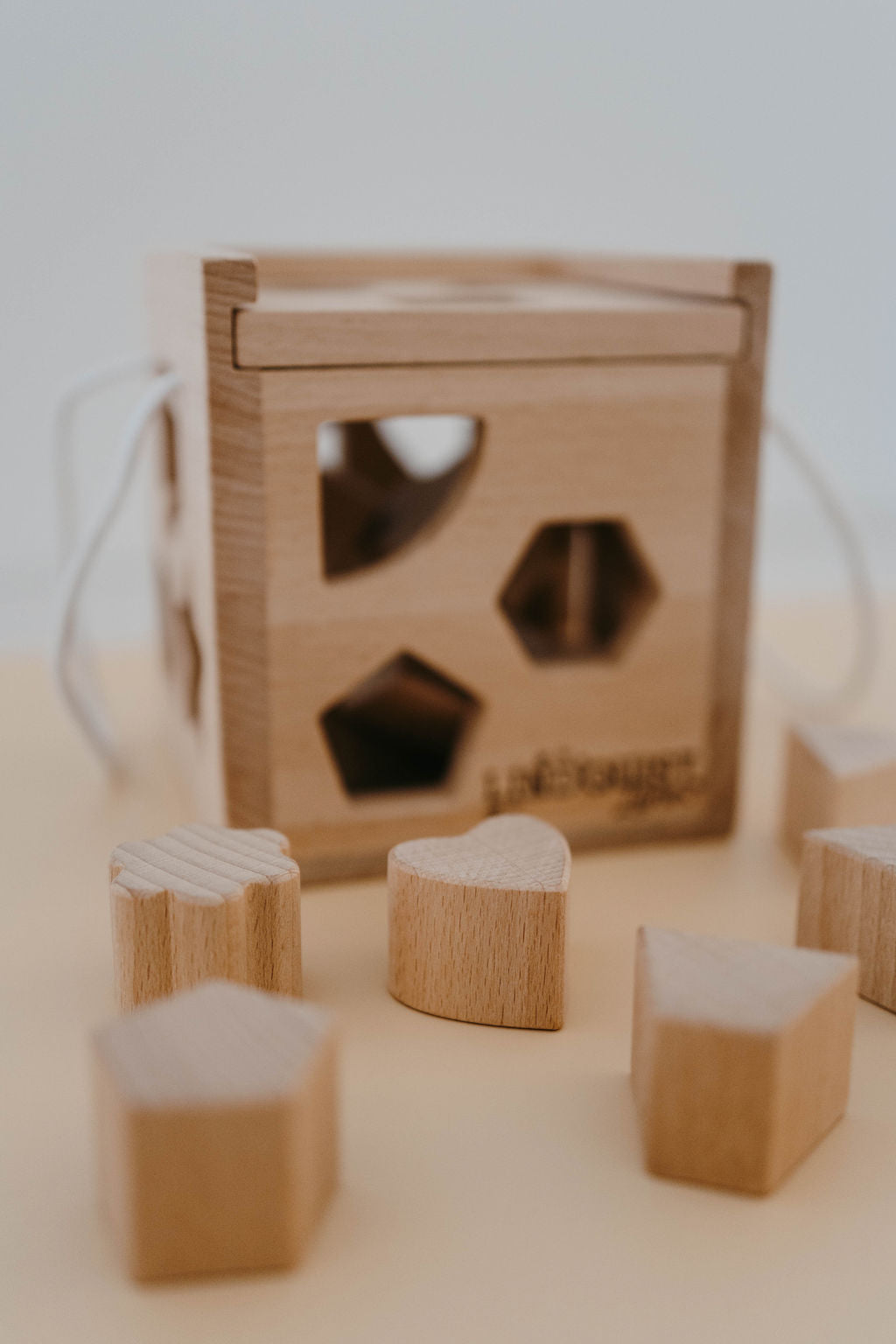 Solid Wood Intelligence Shape Sorting Box