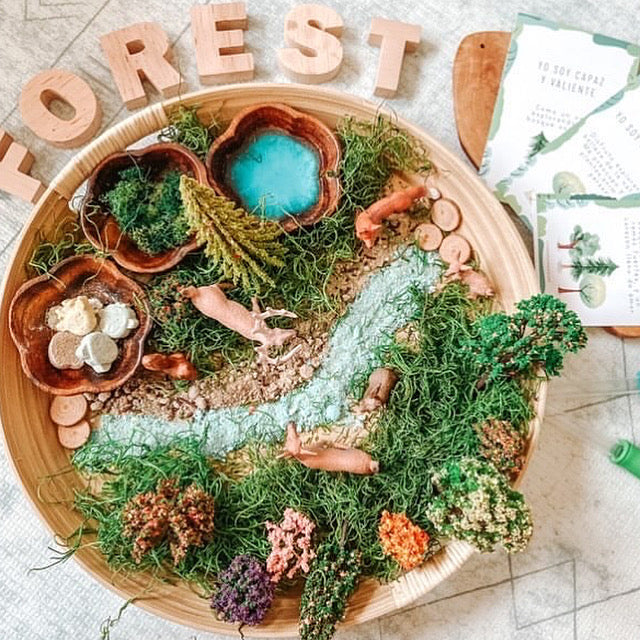 Wild Forest Potion Kit - Chickadees Wooden Toys