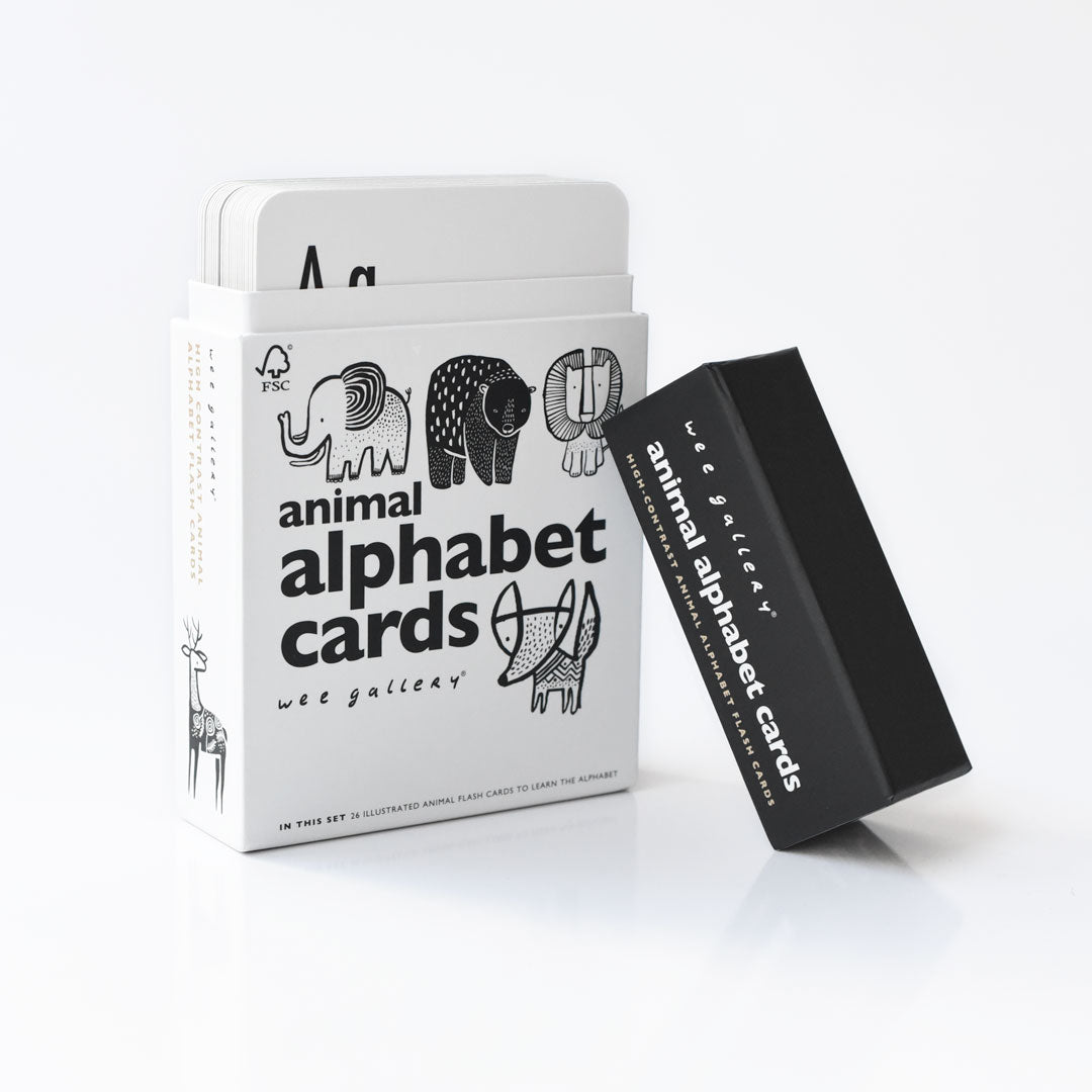 Alphabet Adventure Bundle - Chickadees Wooden Toys