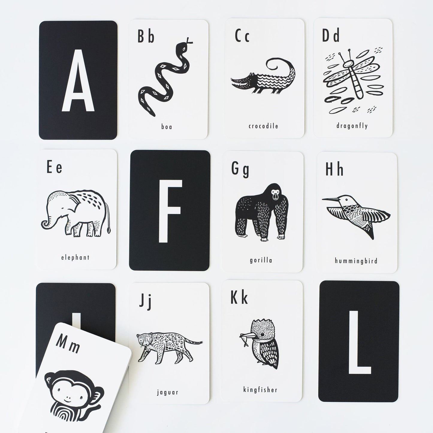 Jungle Alphabet Cards - Chickadees Wooden Toys