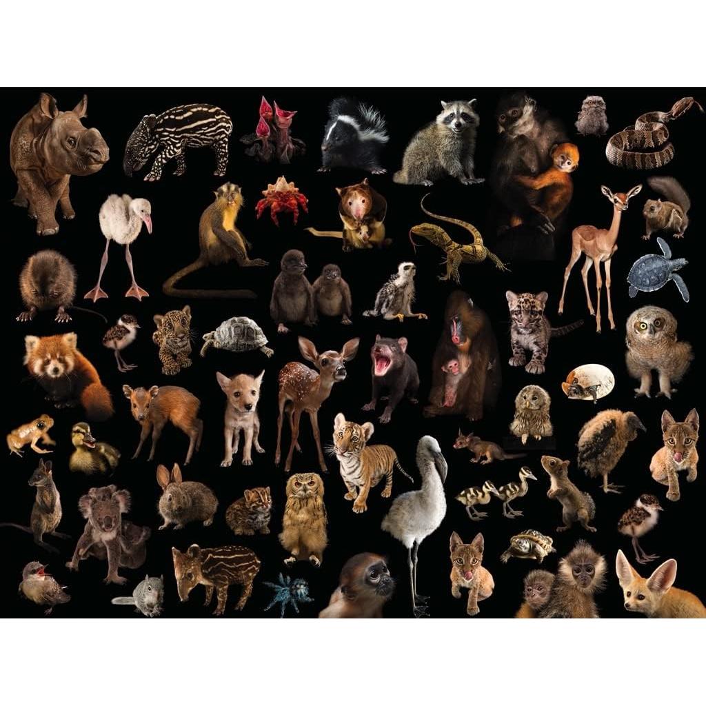 Baby Animals National Geographic Photo Ark 500 Piece Jigsaw Puzzle NYPC - Chickadees Wooden Toys