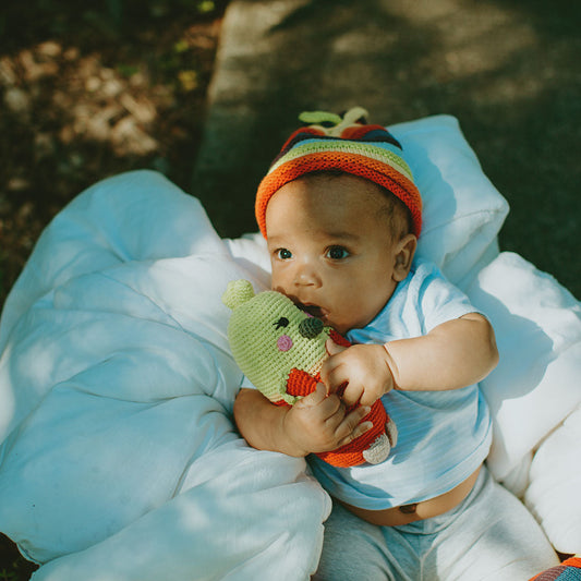 Parrot Rattle - Chickadees Wooden Toys