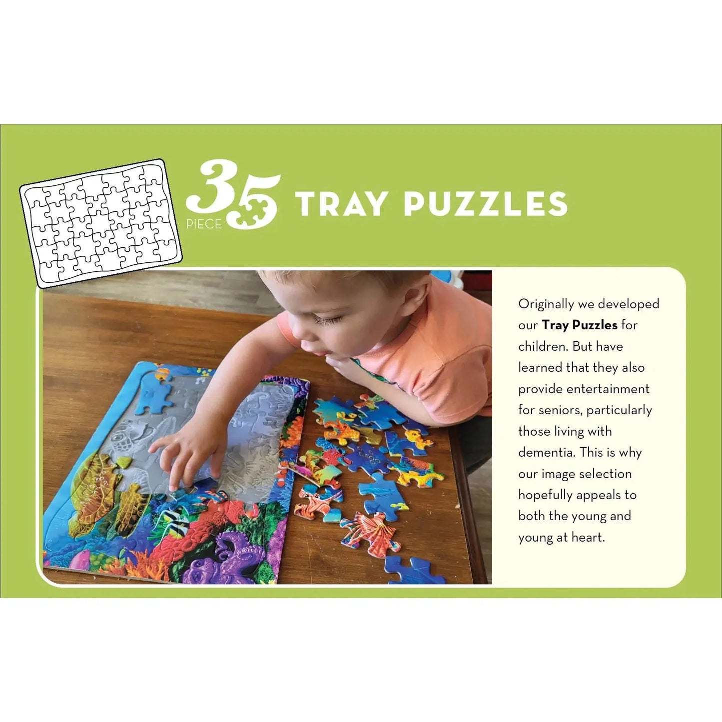 Clownfish Gathering 35 Piece Tray Jigsaw Puzzle Cobble Hill - Chickadees Wooden Toys