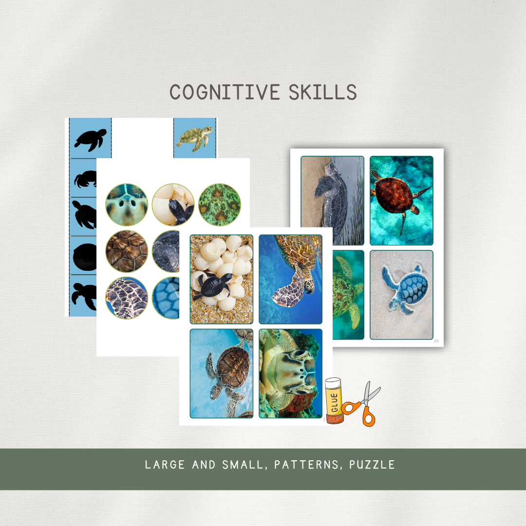 Printed Learning Adventure Bundle - Early Learning Subscription 2026