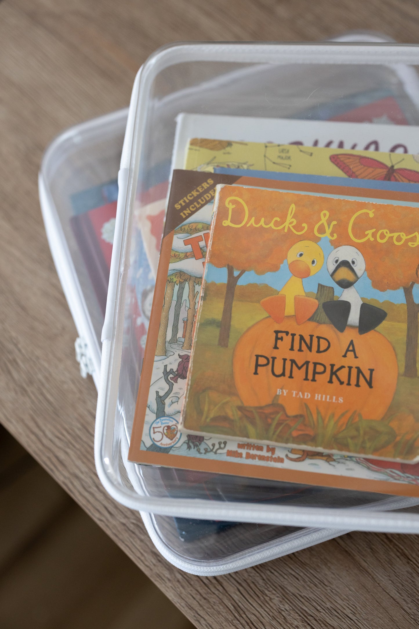 Large Bliss Bins®️| 2 Pack - Chickadees Wooden Toys