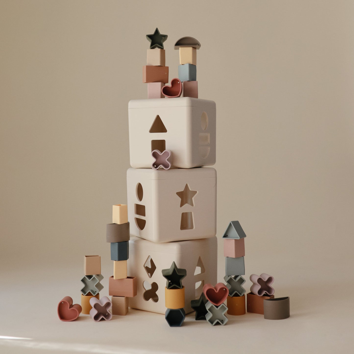 Shape Sorting Box - Chickadees Wooden Toys
