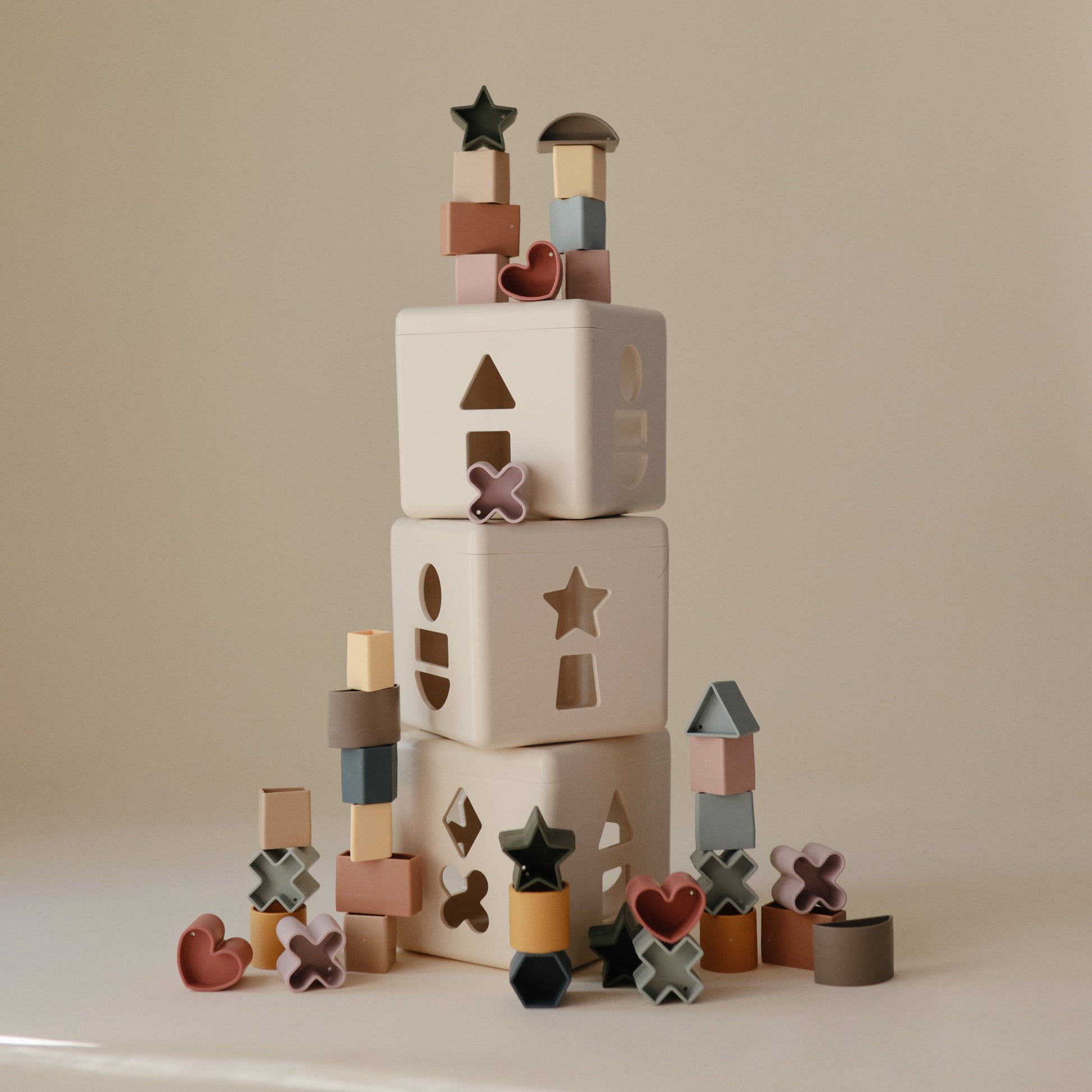 Shape Sorting Box - Chickadees Wooden Toys