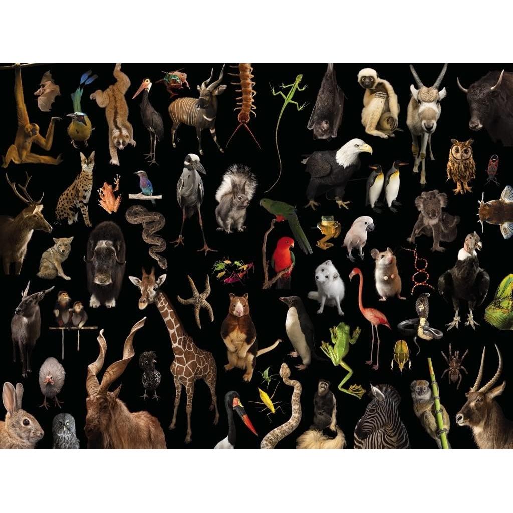 Greatest Hits National Geographic Photo Ark 1000 Piece Jigsaw Puzzle NYPC