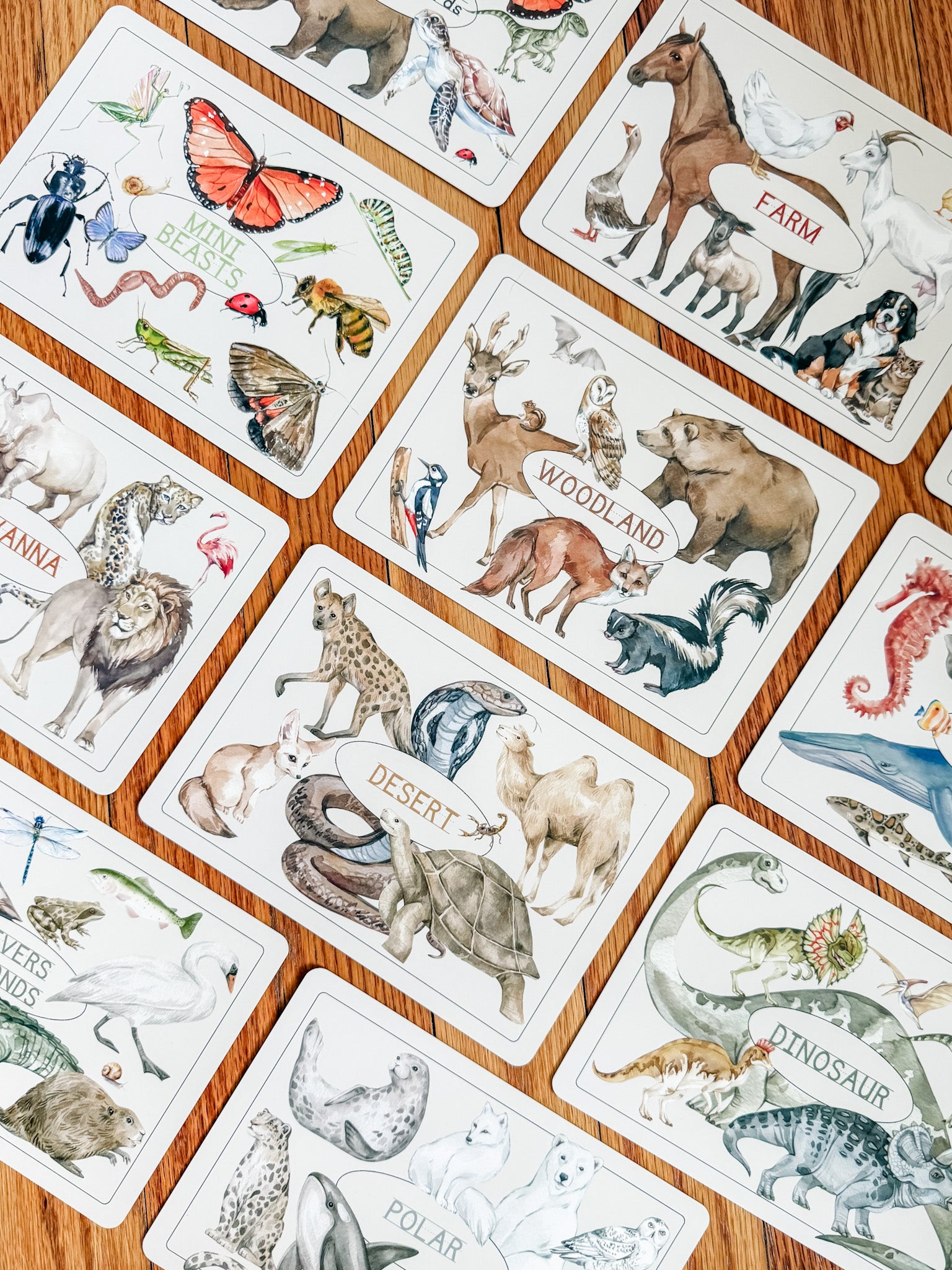 Creature Cards - Set 1 - Chickadees Wooden Toys