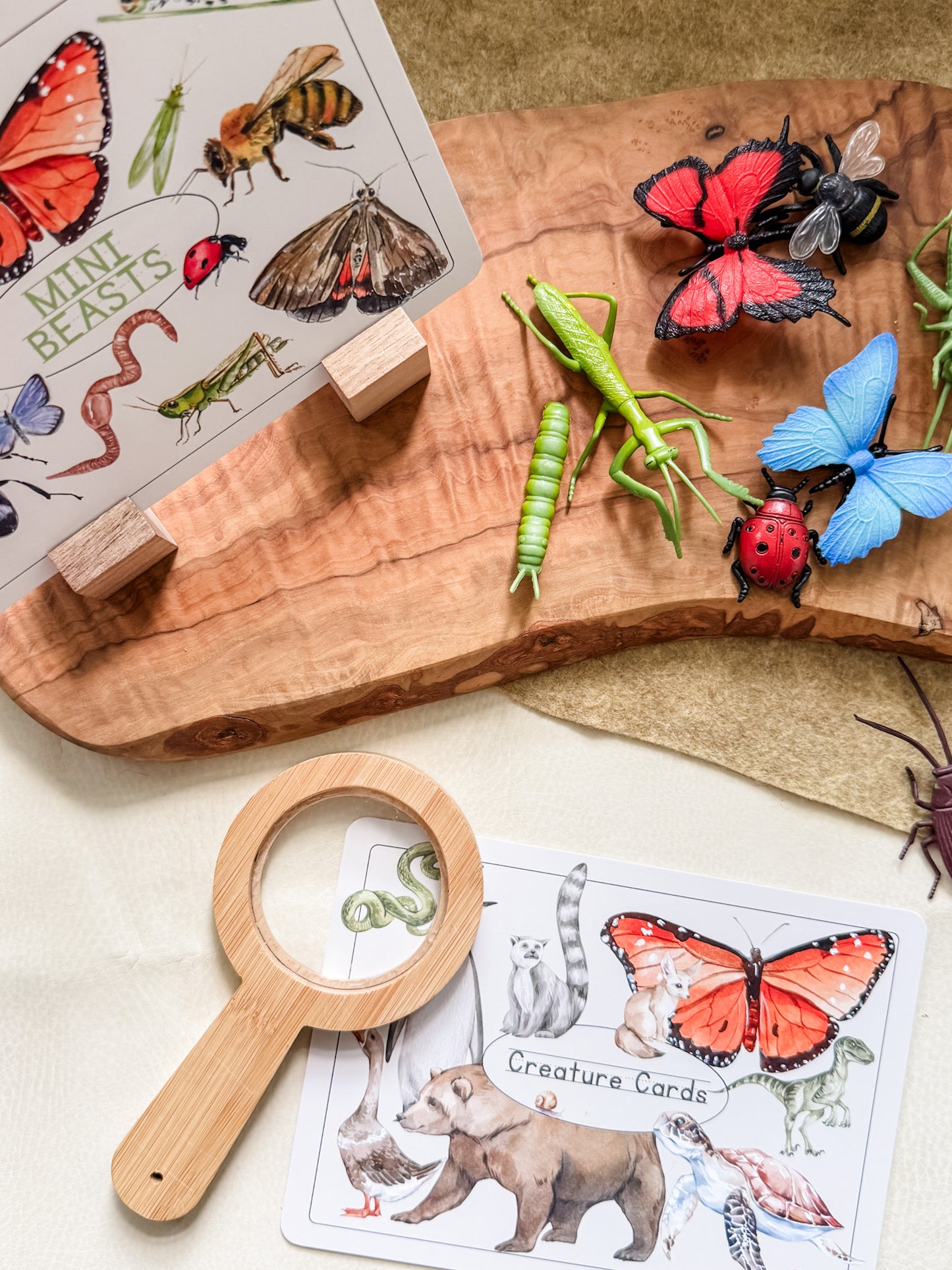Creature Cards - Set 1 - Chickadees Wooden Toys