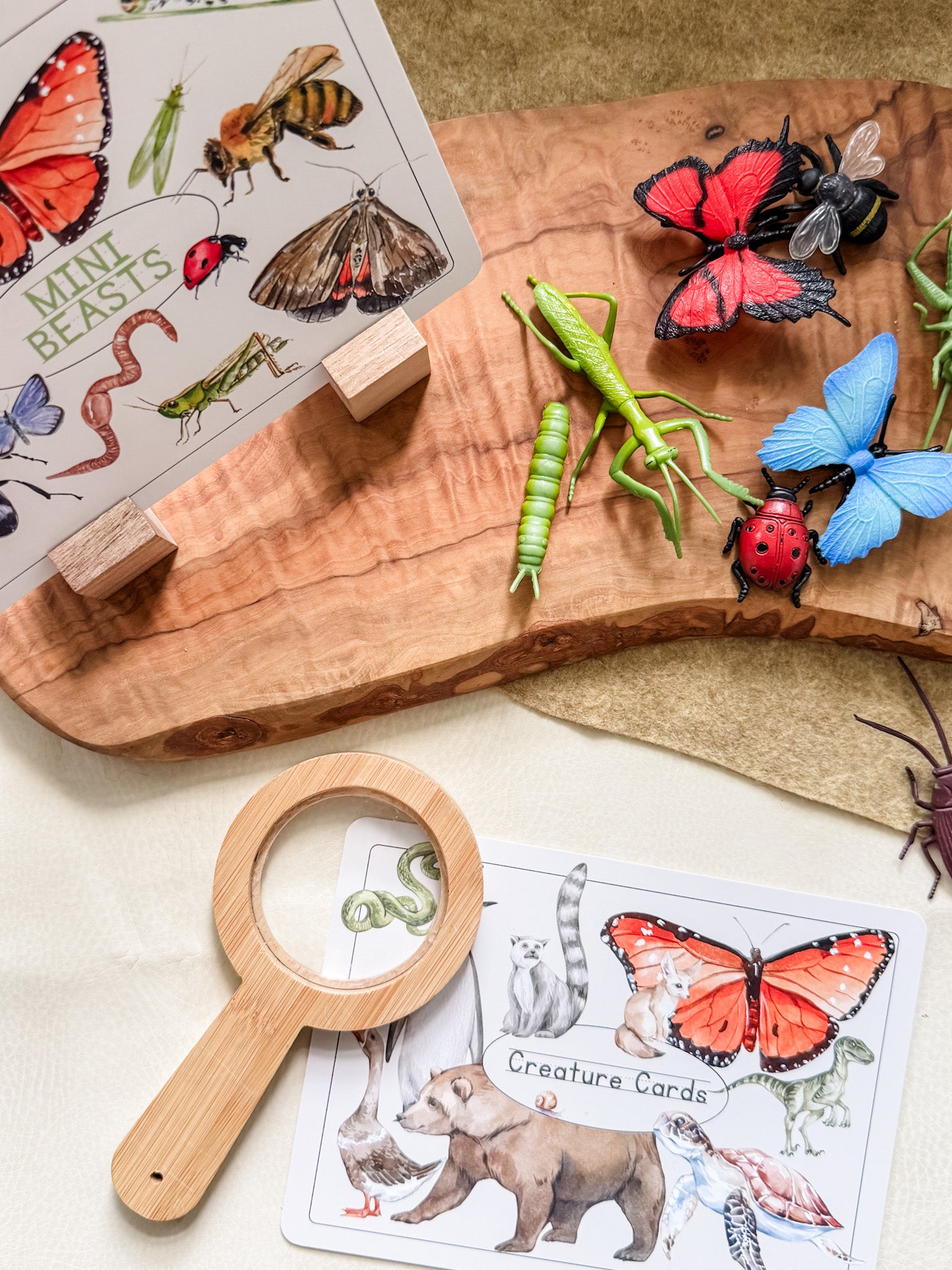 Creature Cards - Set 1 - Chickadees Wooden Toys