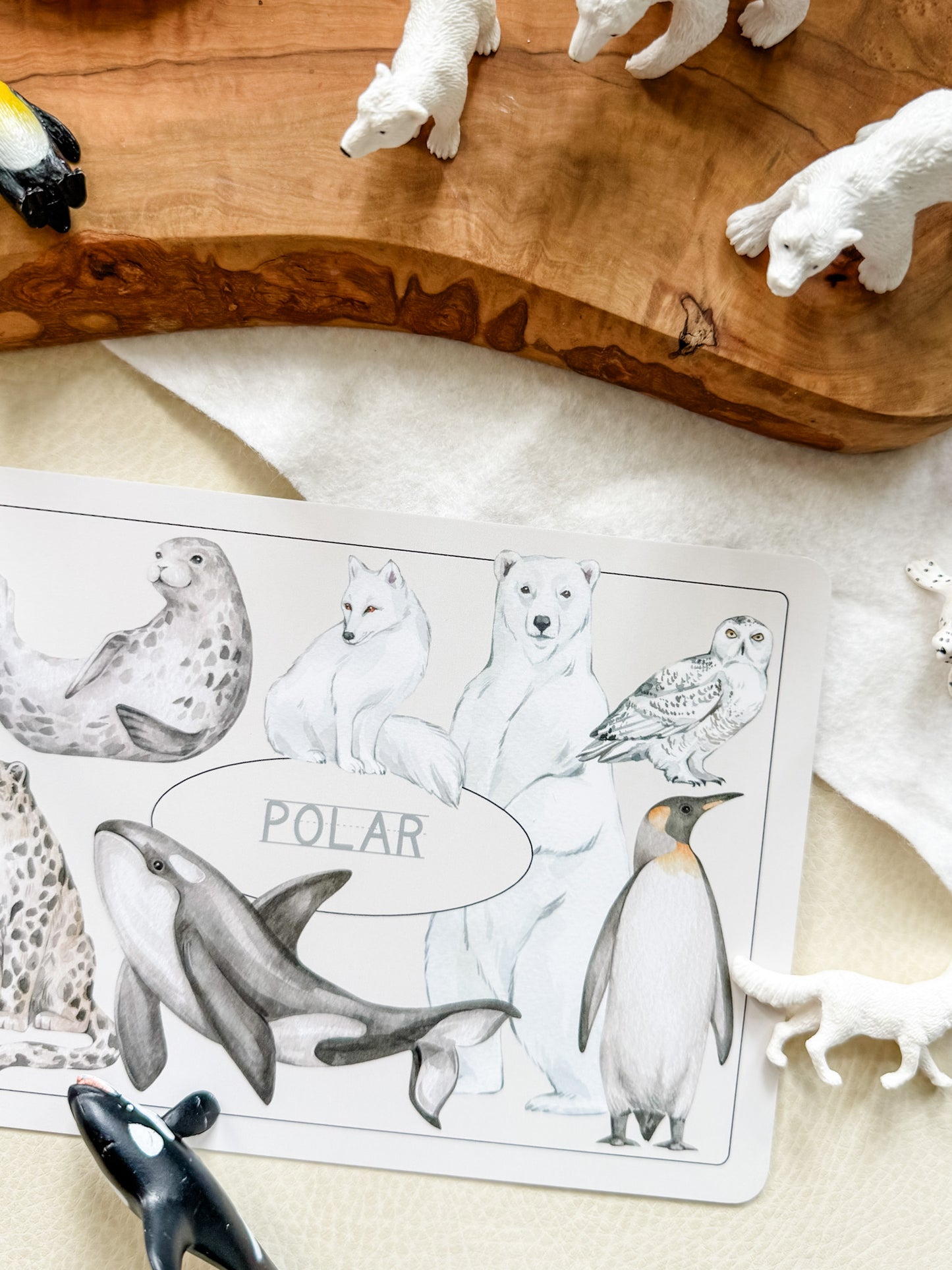 Creature Cards - Set 1 - Chickadees Wooden Toys